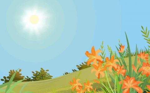 2024立夏是哪天 2024年立夏时间几点几分几秒