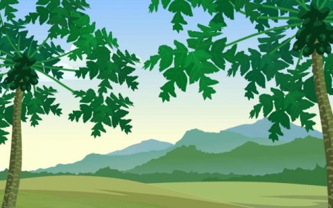 2024年立夏是什么时候 2024立夏具体时间是几点几分几秒