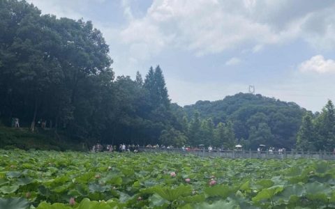 2024年什么时候立夏 2024年立夏是几时几分几秒