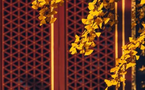 2024年4月14日可以进新房入宅吗 入宅最旺吉时