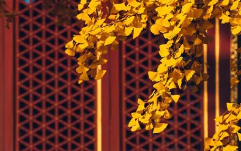 2024年4月18日宜进火入宅吗 这天是最佳入宅好日子吗