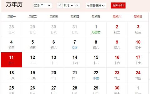 2024年11月11日是什么日子 每年11月11日是什么节日