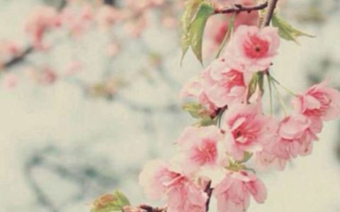 2024年农历大年初三开店开业最佳吉日吗 宜做买卖生意吗