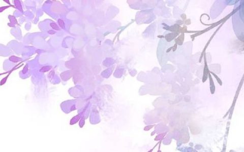 癸卯2023年11月哪天装修好 最吉利装修日子