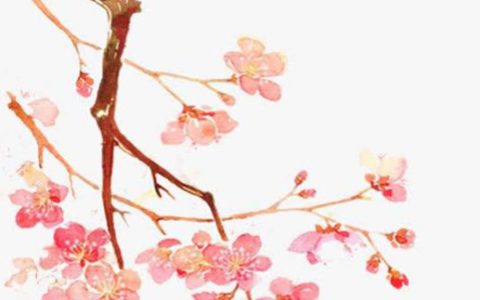 2024年4月30日安入户门好不好 是吉利的安装大门日吗