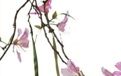 2024年5月3日是黄历开业交易吉日吗 开门做生意好吗
