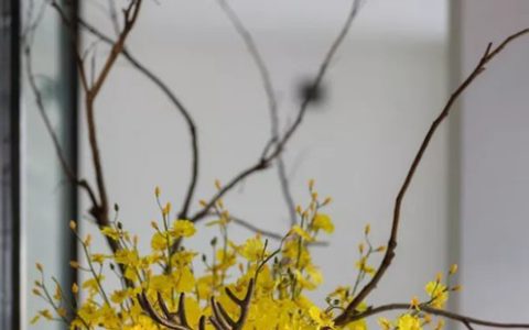 2024年5月7日宜入宅吗 是乔迁大喜日吗