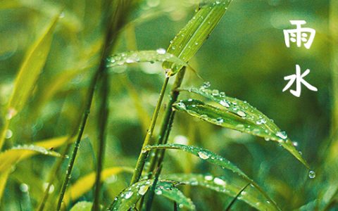雨水节气的寓意和象征