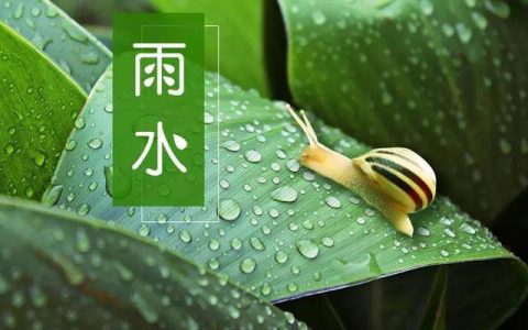 2024雨水节气是几月几日开始
