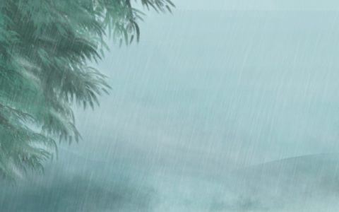 2024年雨水节气如何养生 雨水节气硬核养生方式