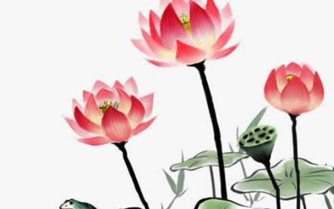 2024年5月9日宜进火入宅吗 这天是最佳入宅好日子吗