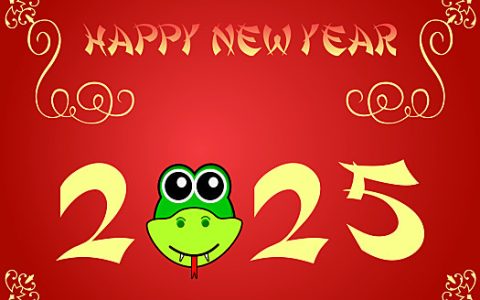 2025春节时间几月几日