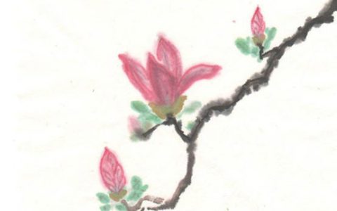 2024年5月23日安装大门吉不吉利 是最佳安门吉日期吗