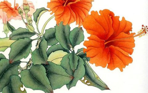 2024年6月6日出行好不好 是出门旅游的最佳时机吗