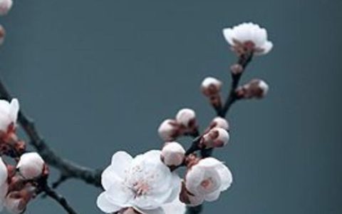 2024年6月16日父亲节是出行最吉利日子吗 外出好吗