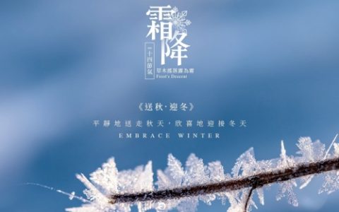 霜降节气吃什么食物养生