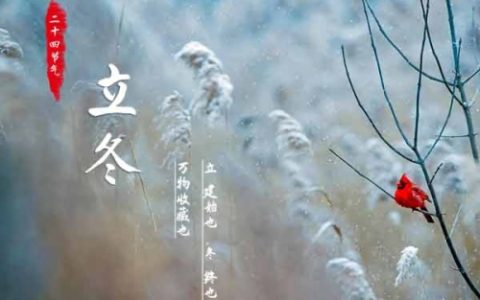 立冬和冬至什么区别