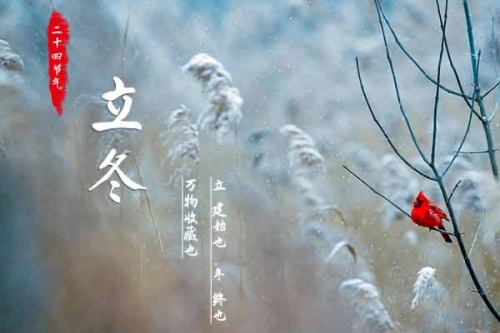 立冬和冬至什么区别