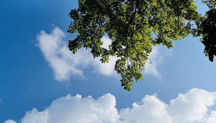 2024年5月5日是什么日子 每年5月5日是什么节日