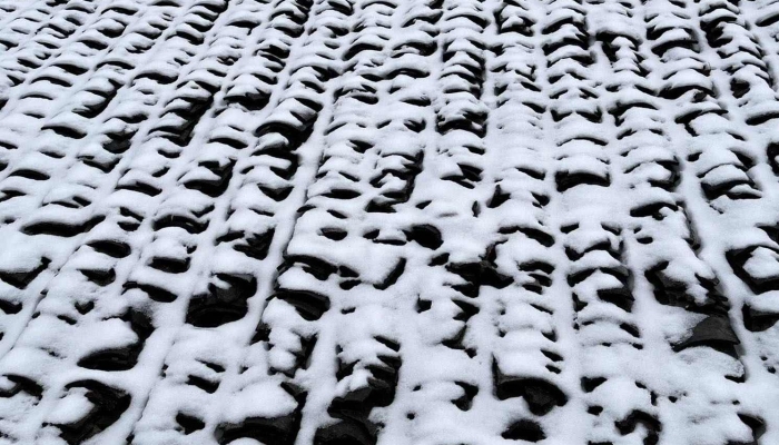 表达下雪的经典的诗句 关于雪纷纷飘落的诗句