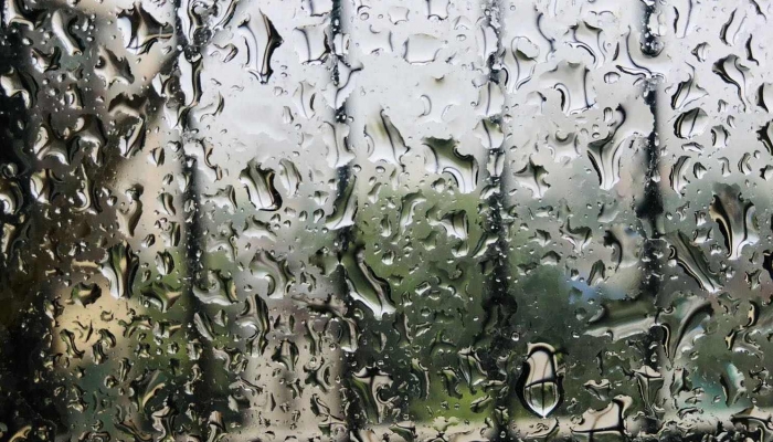 2024年几点几分雨水 2024年雨水节气具体时间