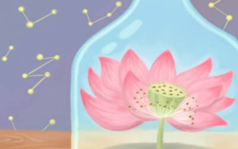 家里摆假花风水好吗？家里摆假花会有哪些影响？
