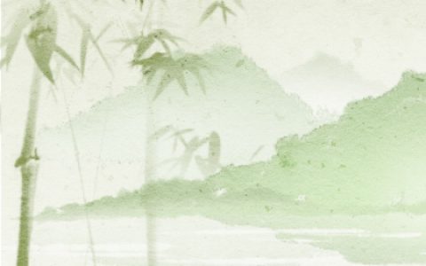 一进门见到什么植物好 可以招财