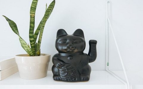 蝙蝠飞到家里是什么预兆 如何驱逐对风水好