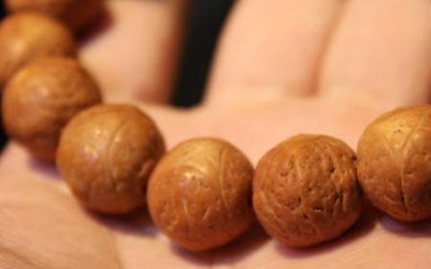 龙眼菩提在佛教里的意义