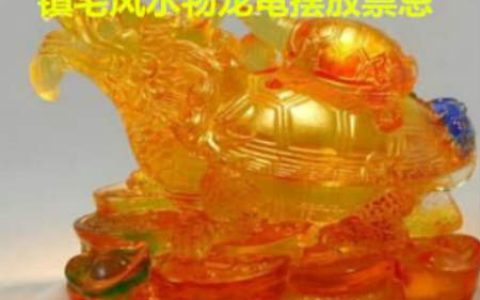 镇宅风水物龙龟摆放禁忌