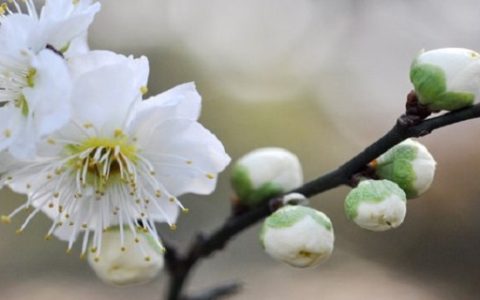 好的阳宅风水有什么征兆 光线充裕通风好