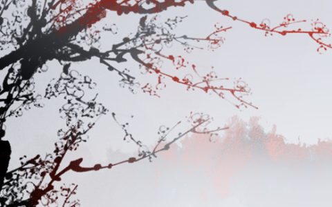 出大官又发财的风水阳宅有什么特点