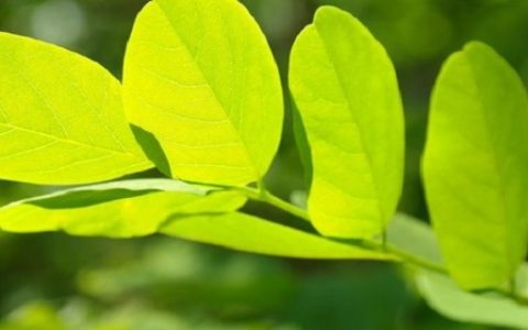 房子阴气重的5个表现 怎么看阴气重不重