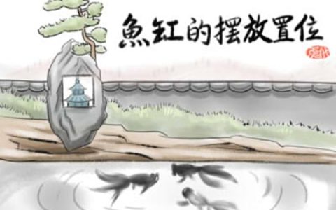 室内的鱼缸应该放到什么地方 有哪些风水要注意 　　　