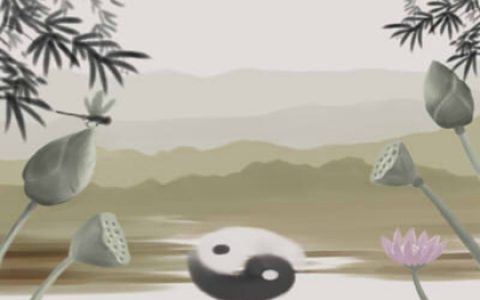 鞋柜上放什么摆件最好 风水原因是什么