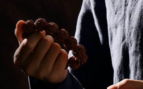 金刚菩提盘玩效果图