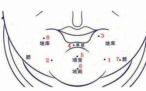 下巴有痣图解大全