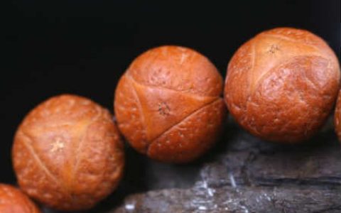 龙眼菩提的寓意