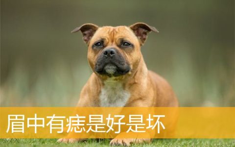 眉中有痣是好是坏