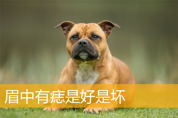 眉中有痣是好是坏
