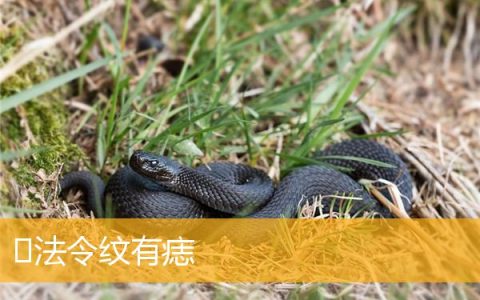 ​法令纹有痣