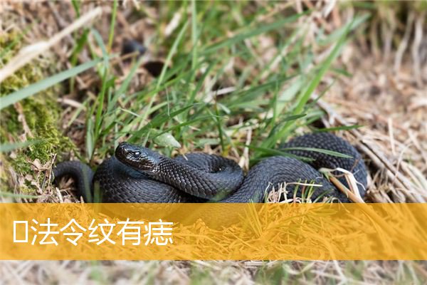​法令纹有痣
