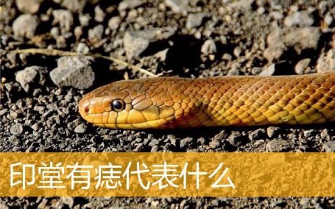 印堂有痣代表什么