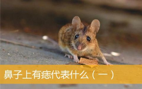 鼻子上有痣代表什么（一）