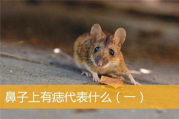 鼻子上有痣代表什么（一）