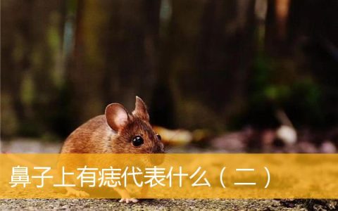 鼻子上有痣代表什么（二）