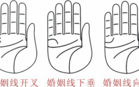 婚姻线分叉代表什么，婚姻线分叉是什么意思？