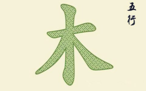 五行属木的风水摆件有哪些
