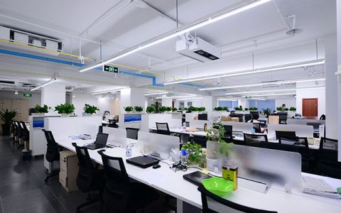 办公室摆什么容易升职加薪