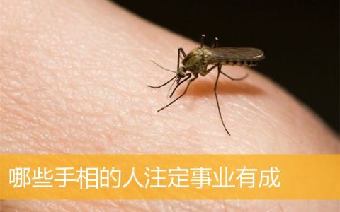 哪些手相的人注定事业有成